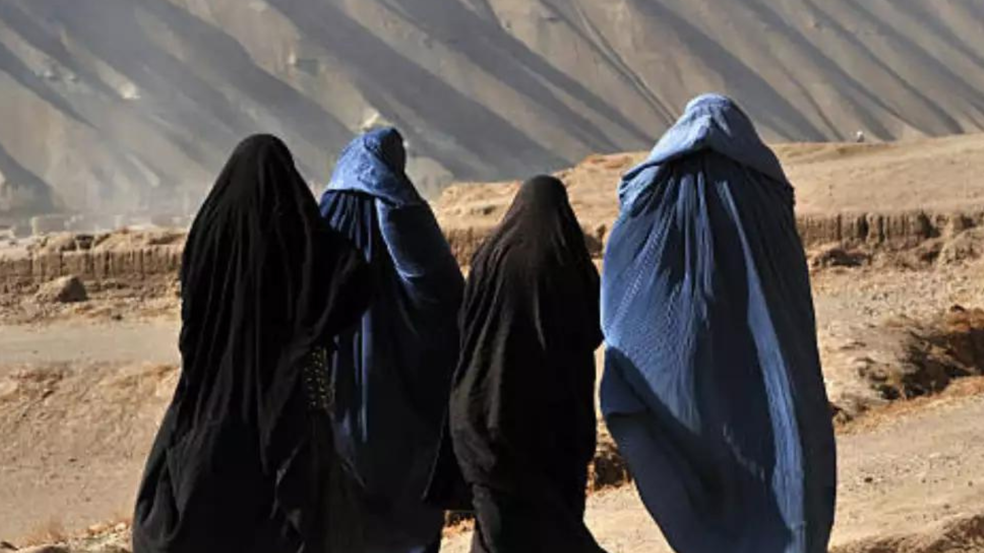 Unmarried Women Are Not Allowed to Work Under Taliban’s New Restrictions - Post Image