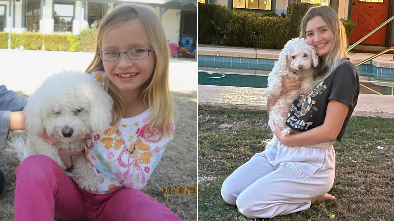 After losing her favorite dog, a 12-year-old girl commits herself; her mother claims, “She stopped eating after…” - Post Image