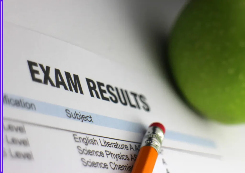 TN Board +1 Result 2025 Declared: Students Can Now Download Marks Memo from dge.tn.gov.in 1 TN Board +1 Result 2025 Declared: Students Can Now Download Marks Memo from dge.tn.gov.in