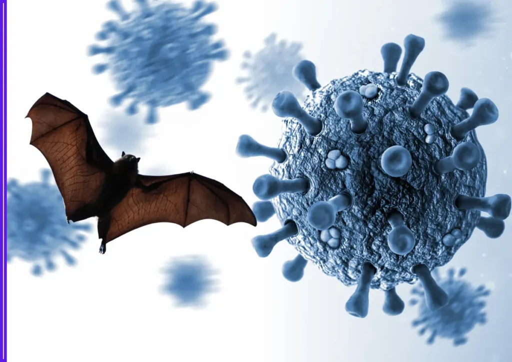 Scientists Uncover 20 New Bat Viruses in China — Some Could Spark the Next Deadly Pandemic 1 Scientists Uncover 20 New Bat Viruses in China — Some Could Spark the Next Deadly Pandemic