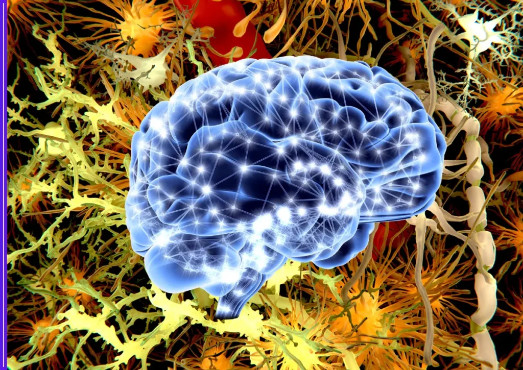 Human Brain Continues to Grow New Cells Into Old Age, Study Finds 1 Human Brain Continues to Grow New Cells Into Old Age, Study Finds