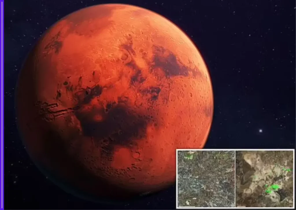 NASA’s Latest Mars Discovery May Finally Reveal Why Life Never Took Root on the Red Planet 1 NASA’s Latest Mars Discovery May Finally Reveal Why Life Never Took Root on the Red Planet