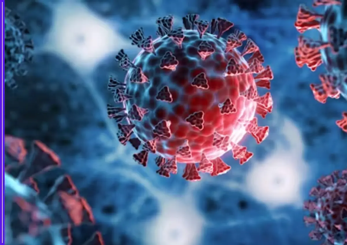 Stratus’ COVID-19 Variant XFG Spreading Rapidly in US: Symptoms, Spread, and Safety Tips-thumnail